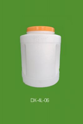 DX-4L-06